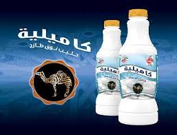 Detailed Nutritional Composition of Bactrian Camel’s Milk